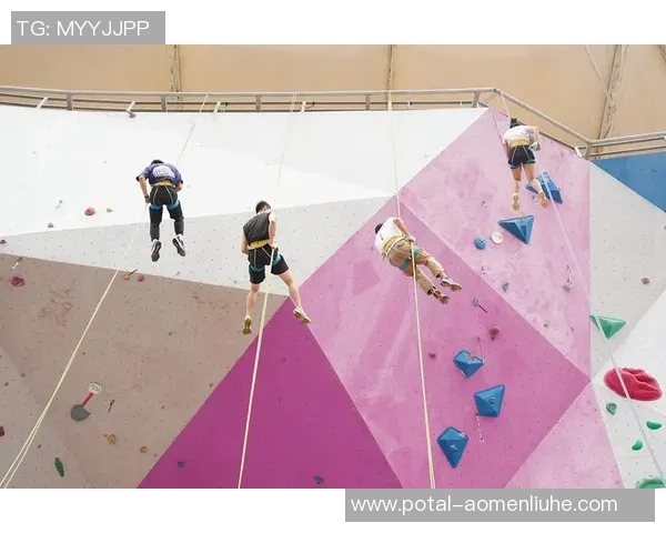 从零基础到高手之路：全面提升攀岩技能的实用指南