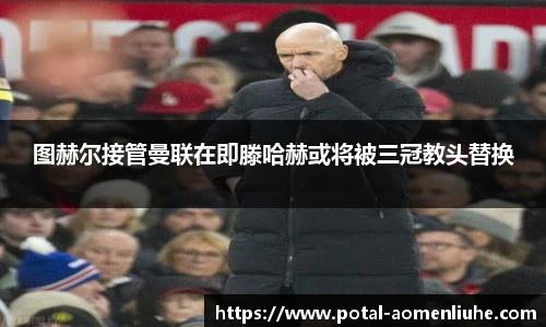 新澳门六合彩