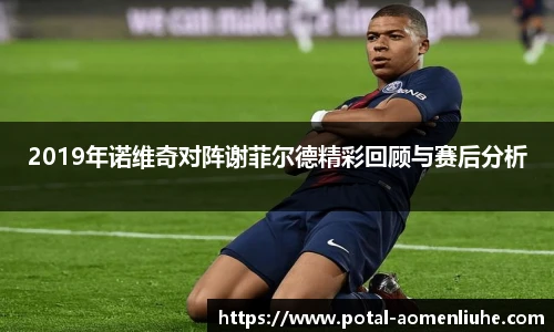 2019年诺维奇对阵谢菲尔德精彩回顾与赛后分析